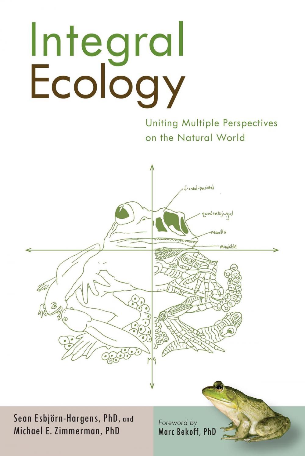 Big bigCover of Integral Ecology