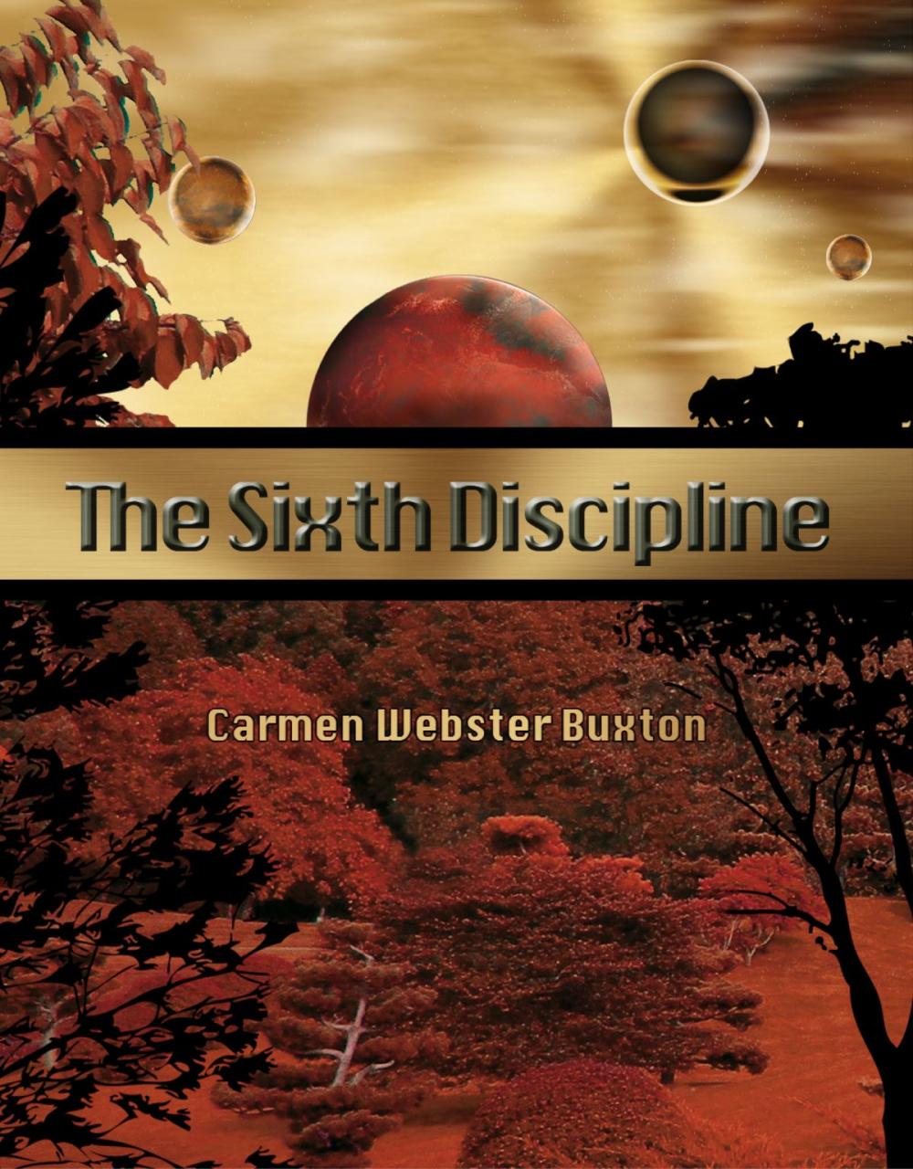 Big bigCover of The Sixth Discipline