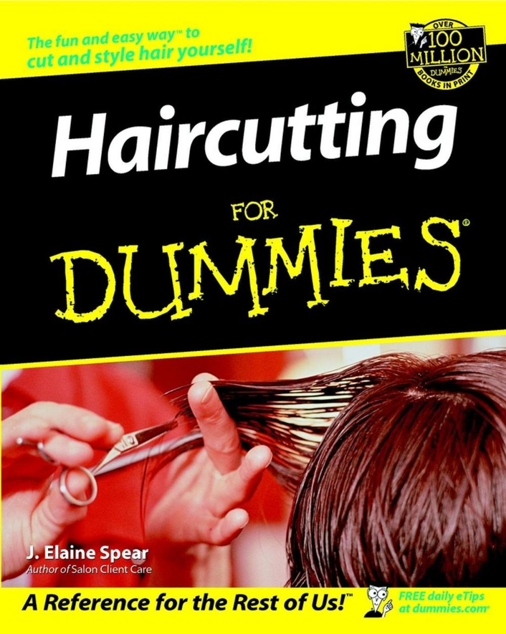 Big bigCover of Haircutting For Dummies