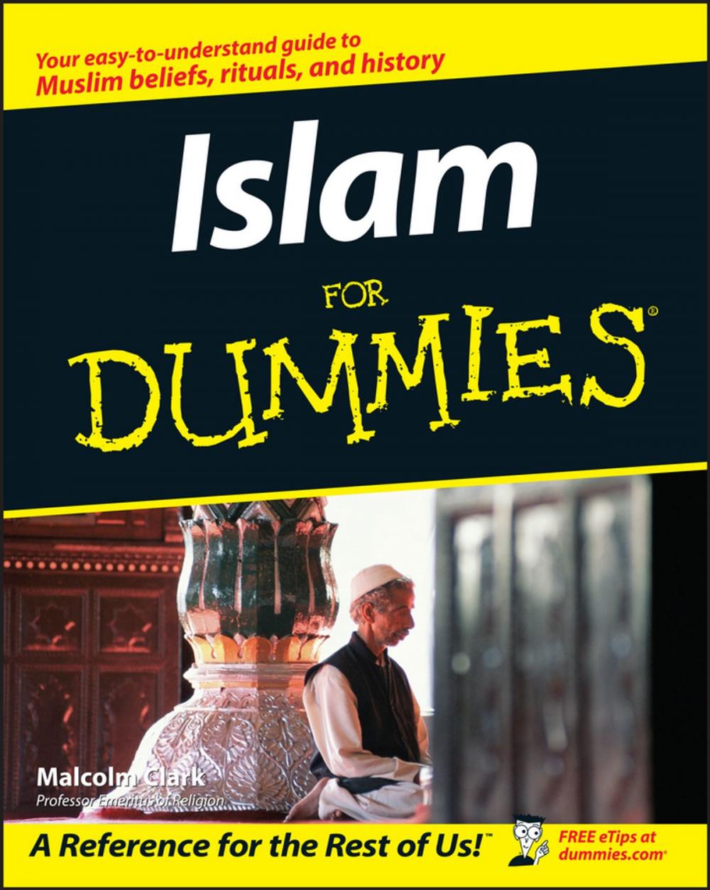 Big bigCover of Islam For Dummies