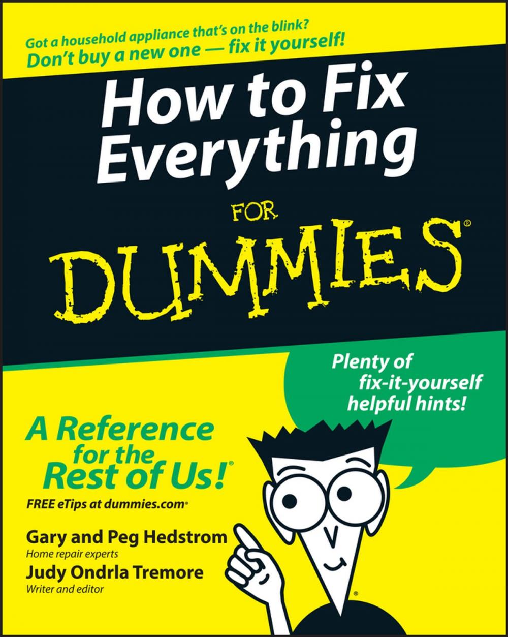 Big bigCover of How to Fix Everything For Dummies