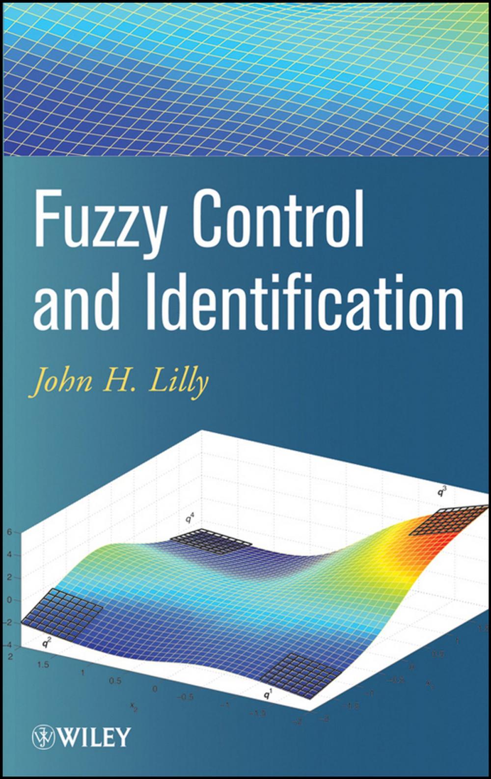 Big bigCover of Fuzzy Control and Identification