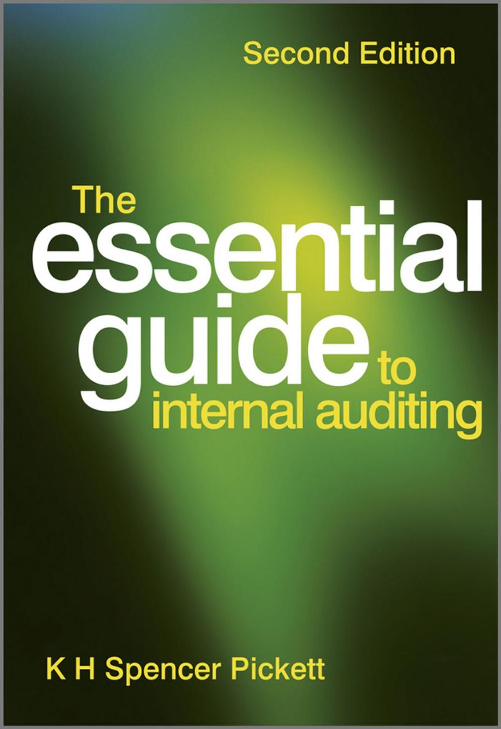 Big bigCover of The Essential Guide to Internal Auditing