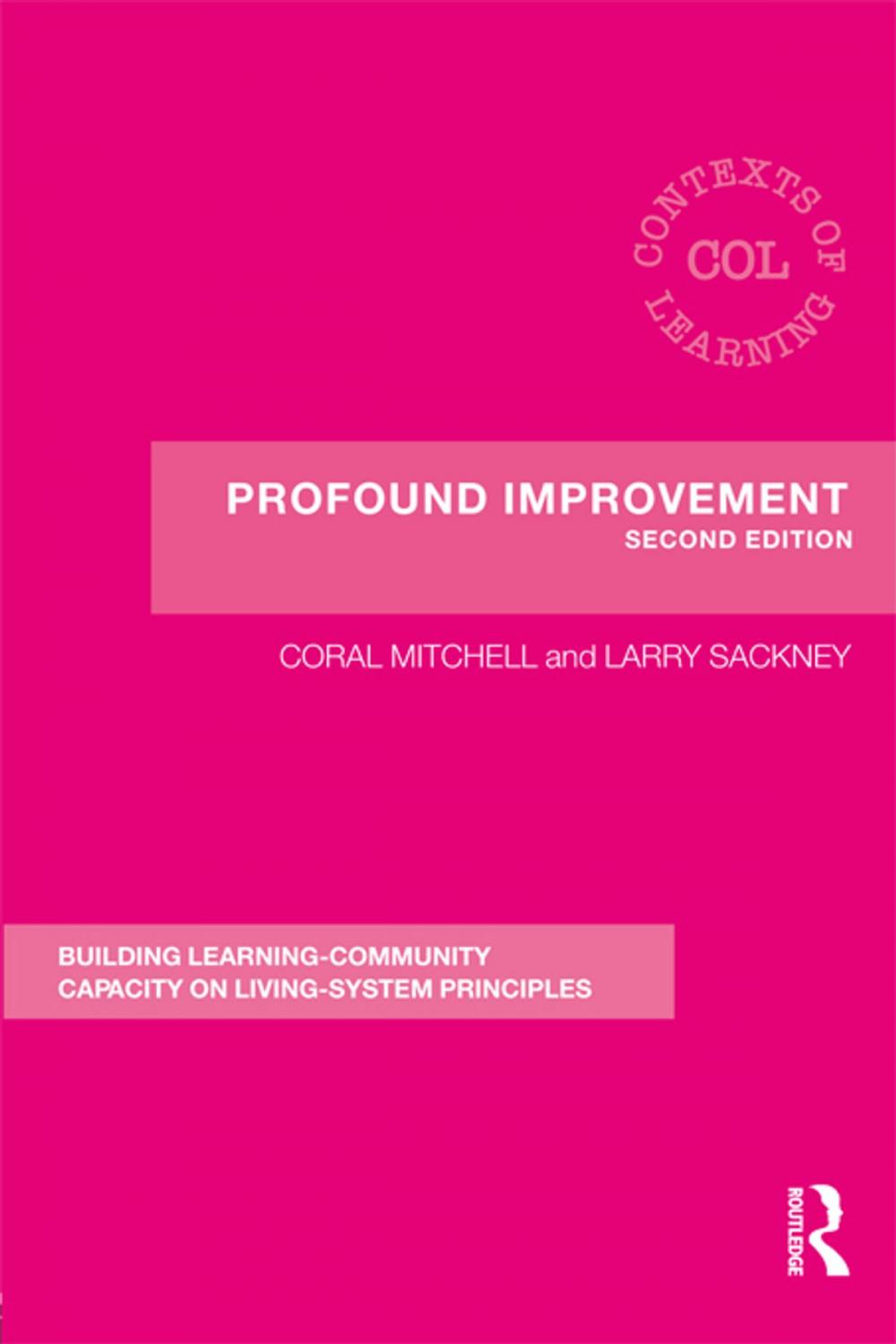 Big bigCover of Profound Improvement