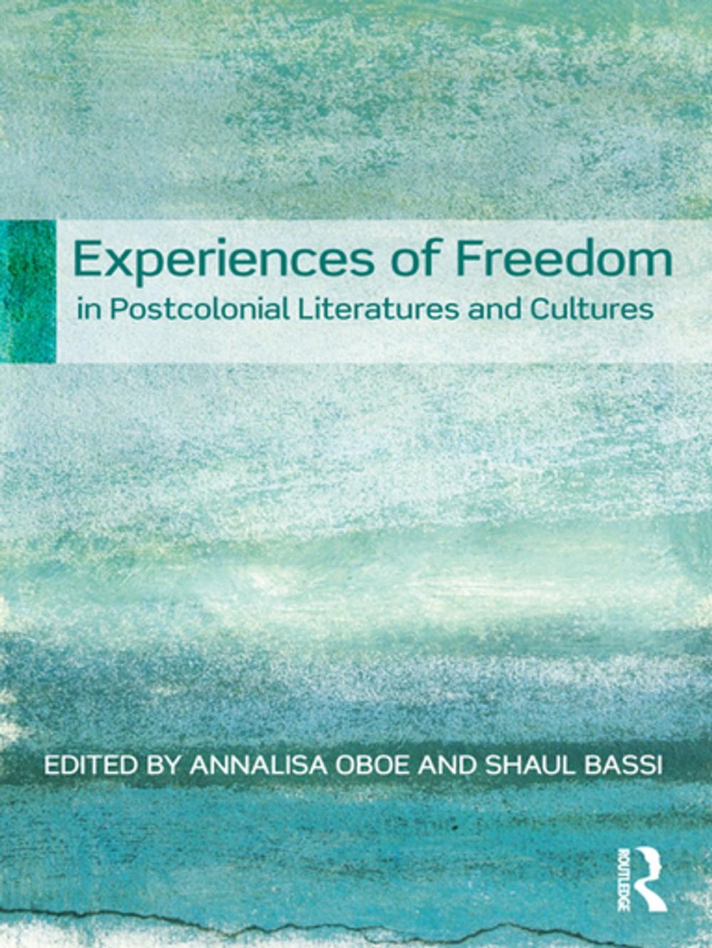 Big bigCover of Experiences of Freedom in Postcolonial Literatures and Cultures