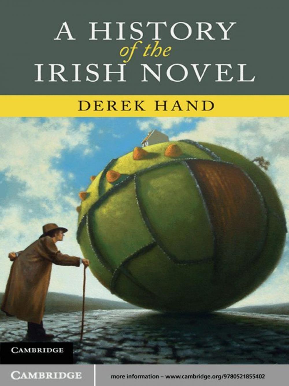 Big bigCover of A History of the Irish Novel