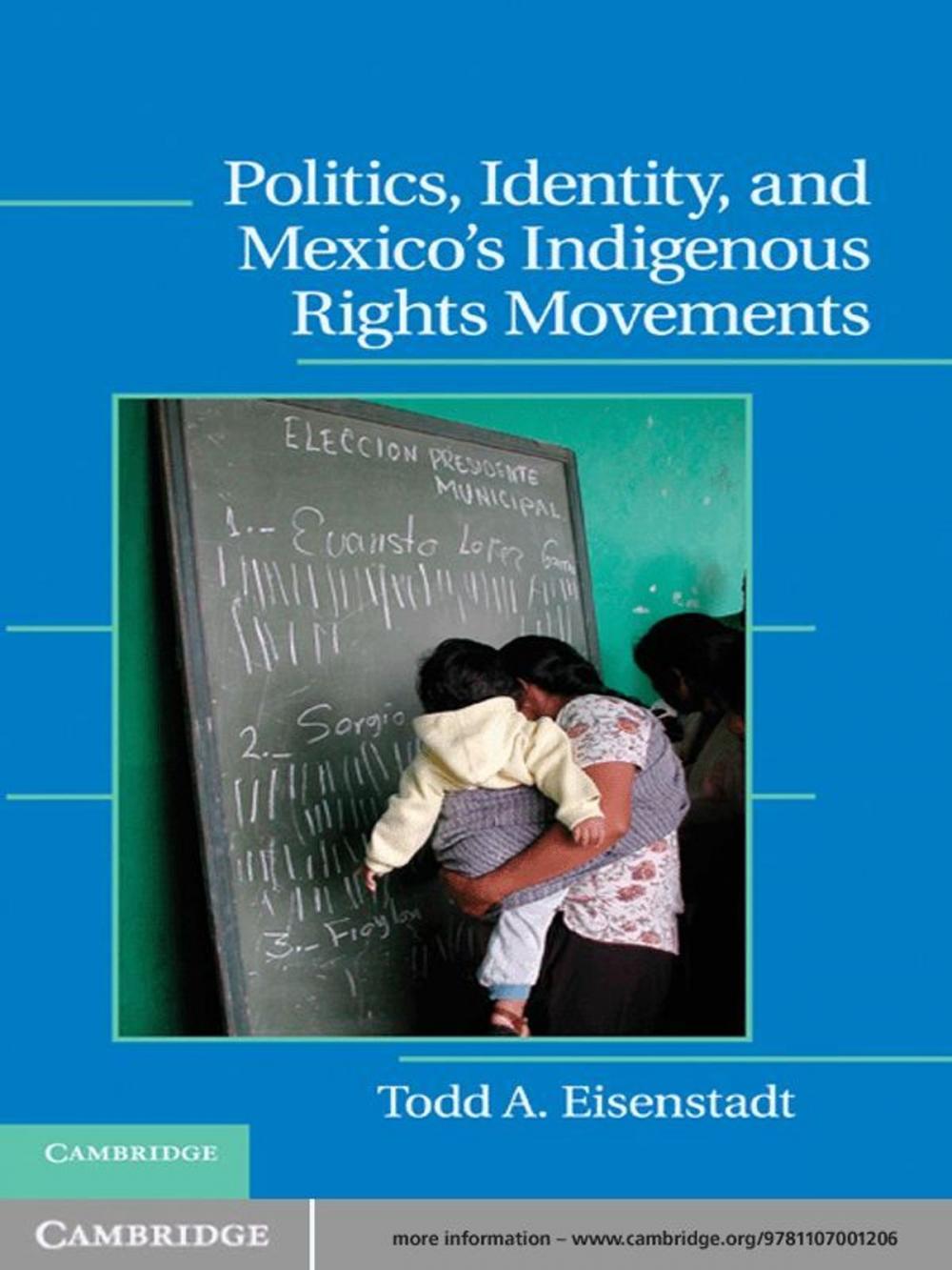 Big bigCover of Politics, Identity, and Mexico’s Indigenous Rights Movements