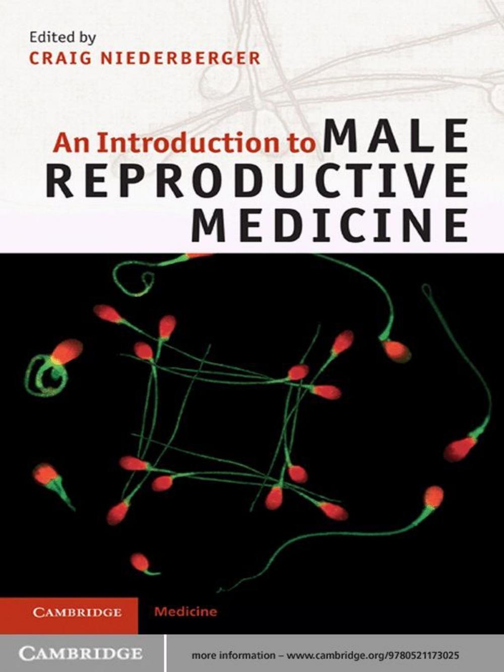 Big bigCover of An Introduction to Male Reproductive Medicine