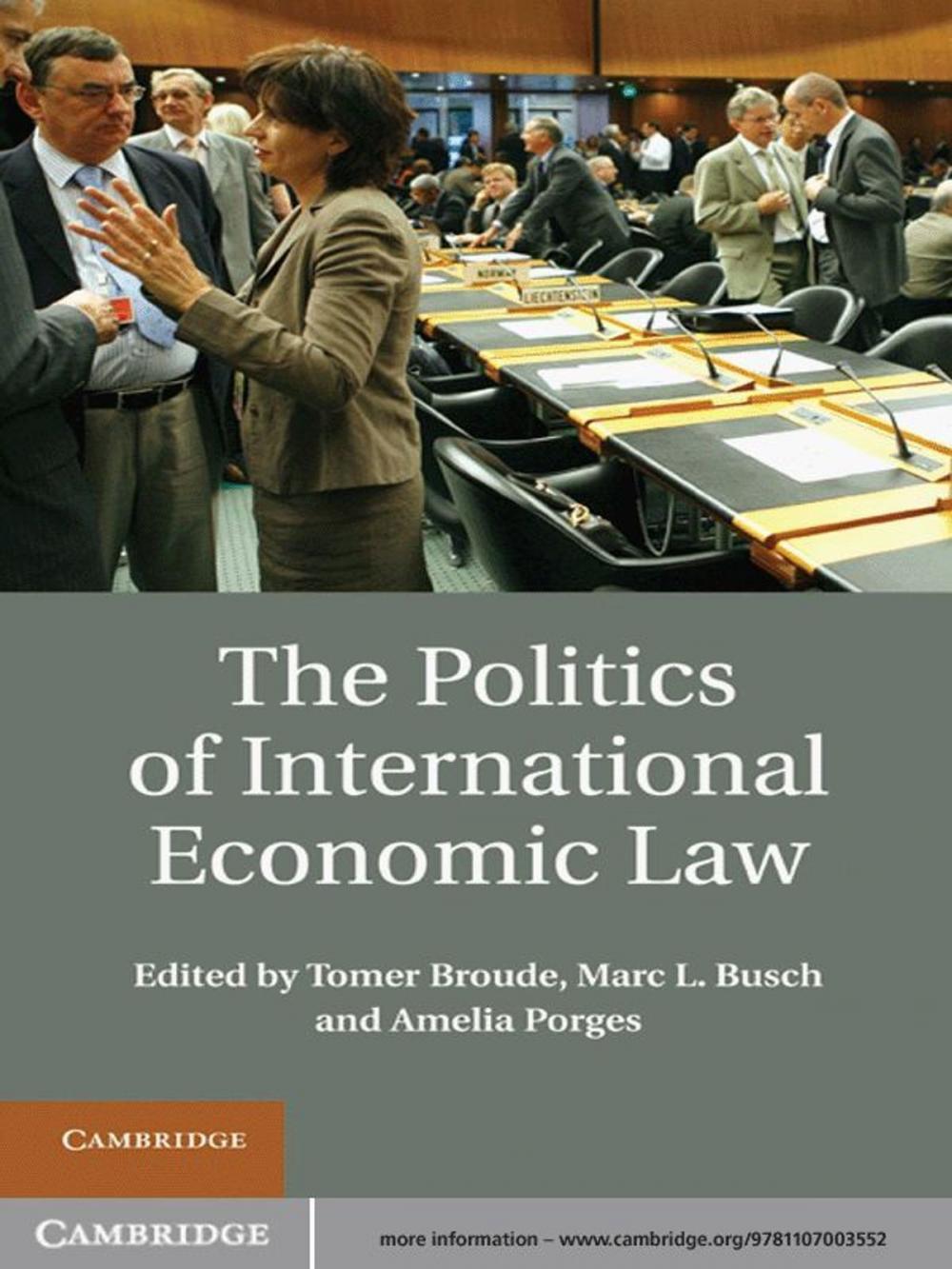 Big bigCover of The Politics of International Economic Law