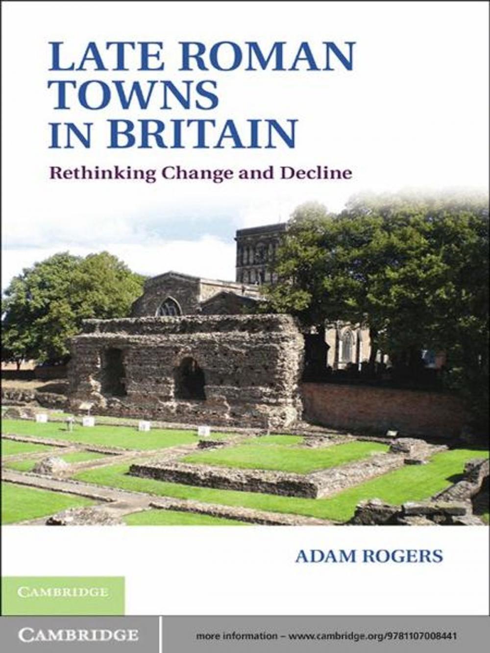 Big bigCover of Late Roman Towns in Britain