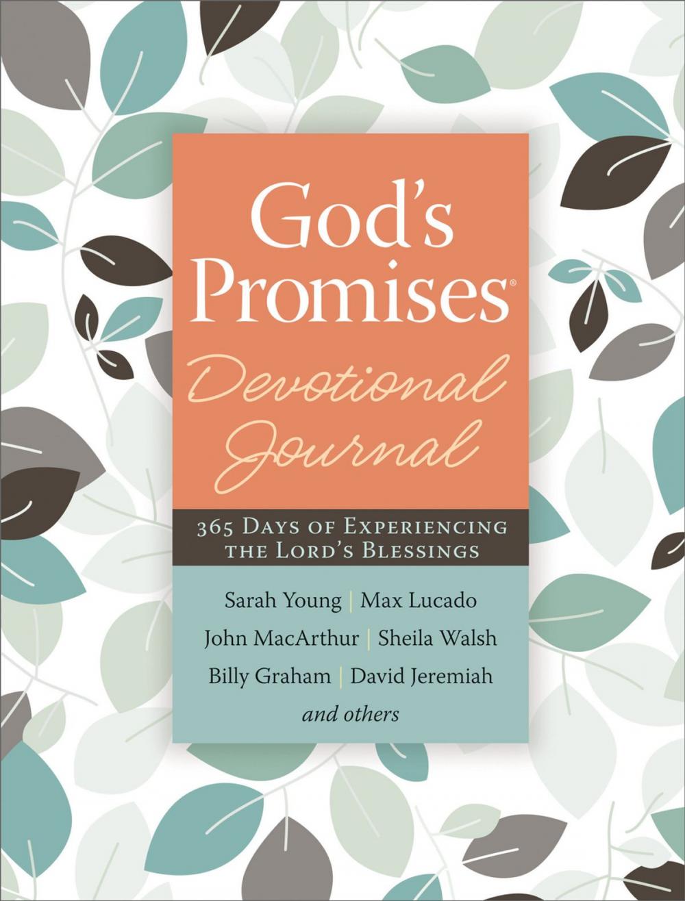 Big bigCover of God's Promises Devotional Journal