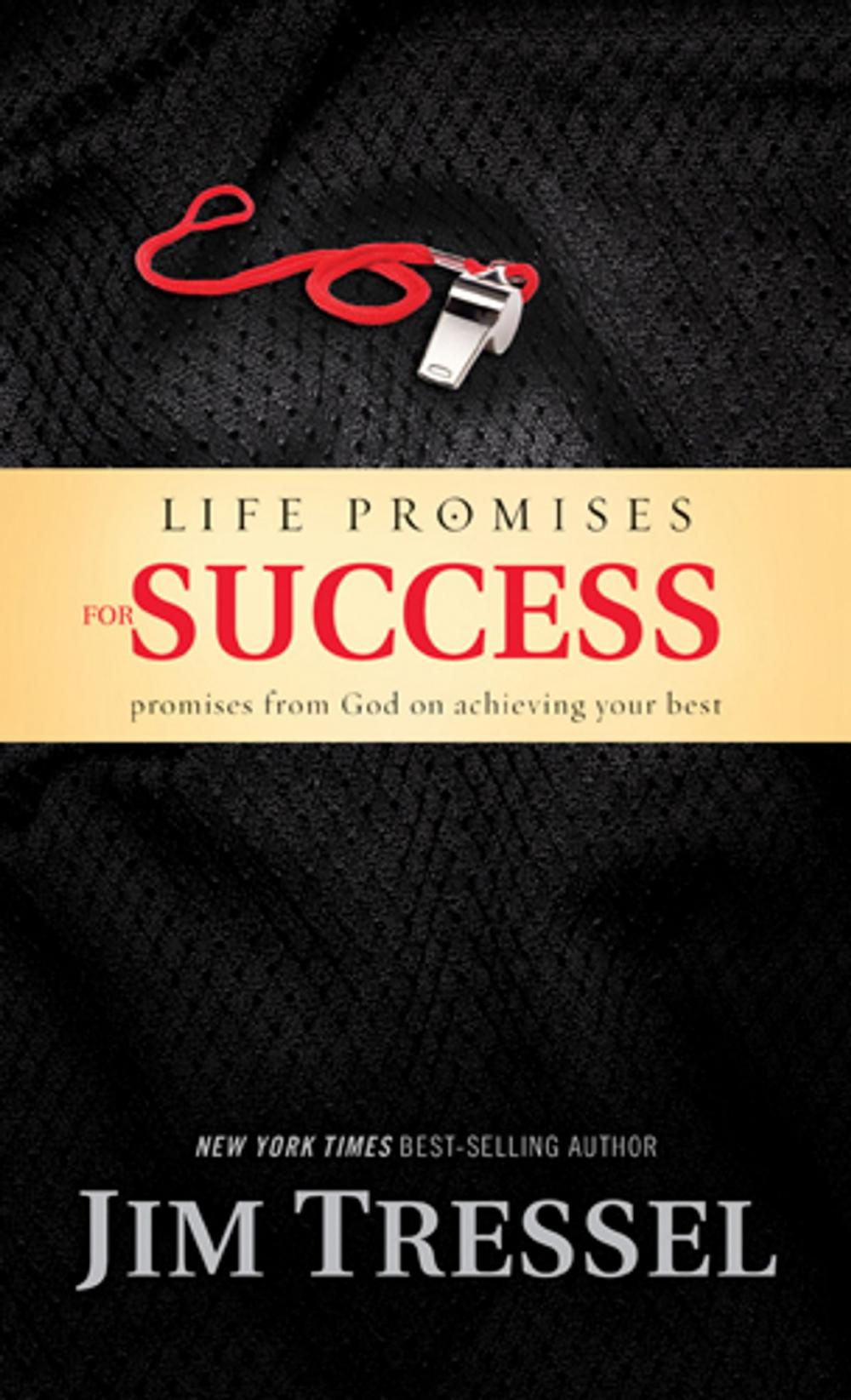 Big bigCover of Life Promises for Success