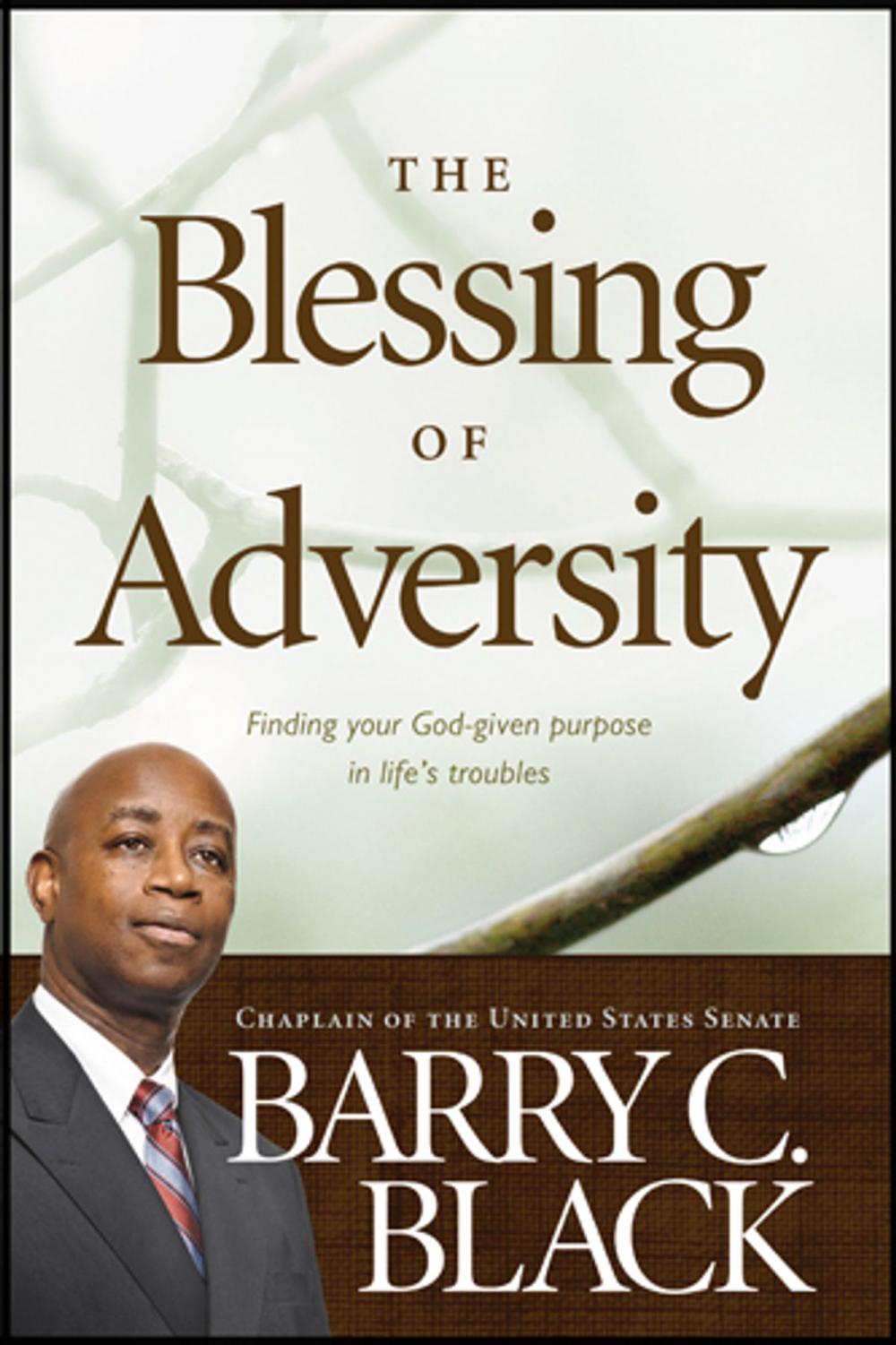 Big bigCover of The Blessing of Adversity