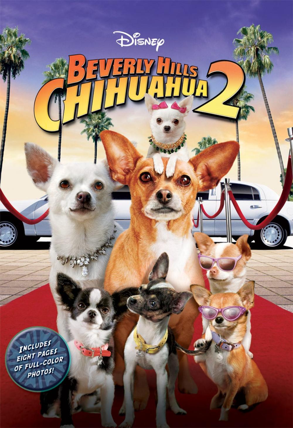 Big bigCover of Beverly Hills Chihuahua 2 Junior Novel