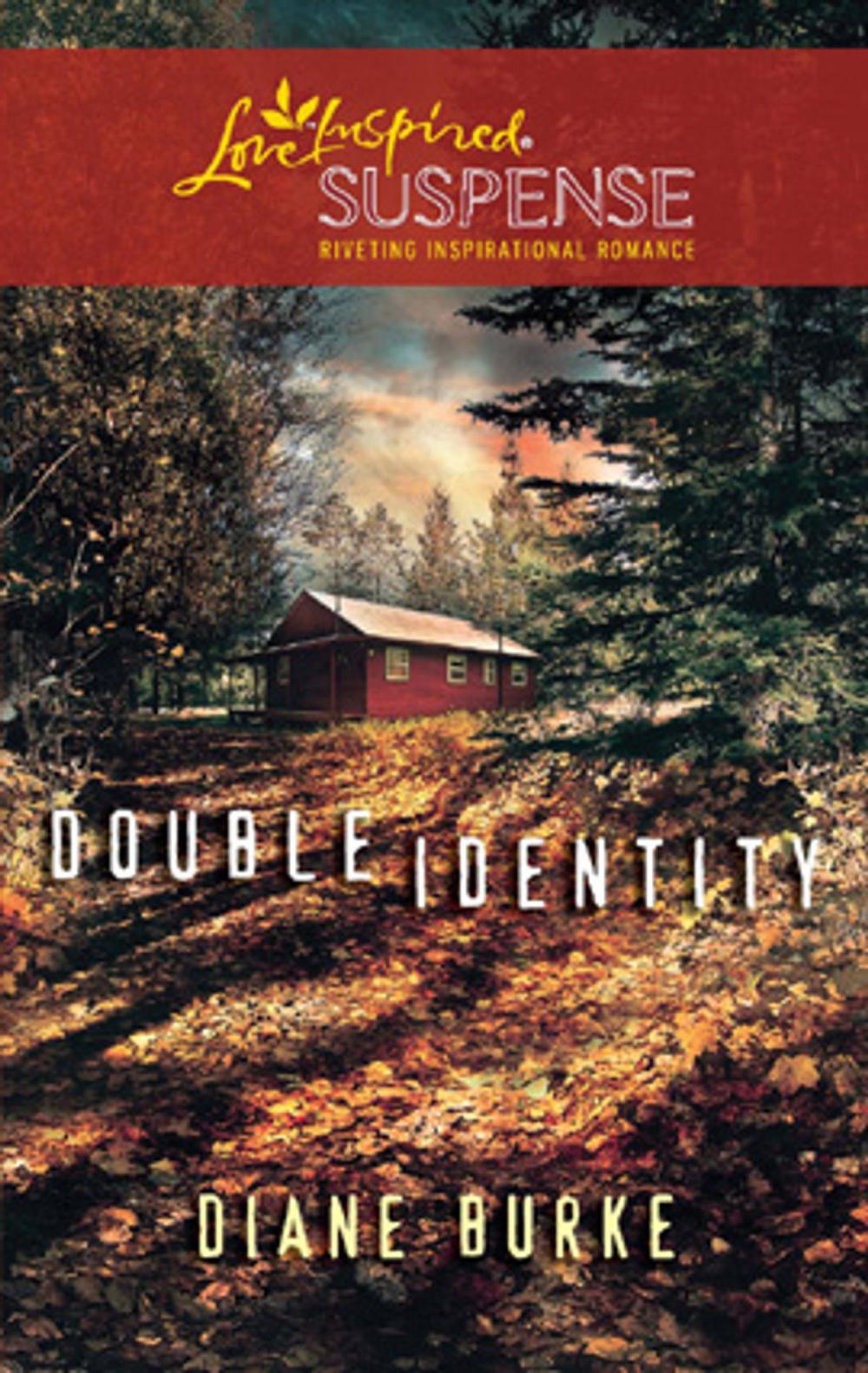 Big bigCover of Double Identity