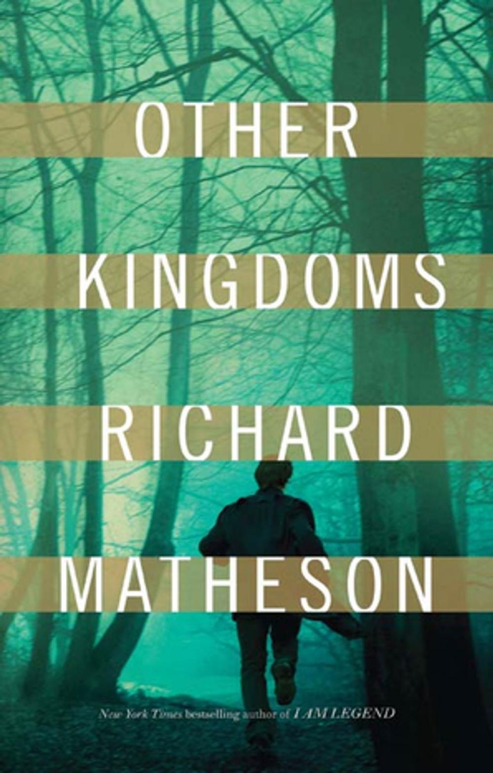 Big bigCover of Other Kingdoms