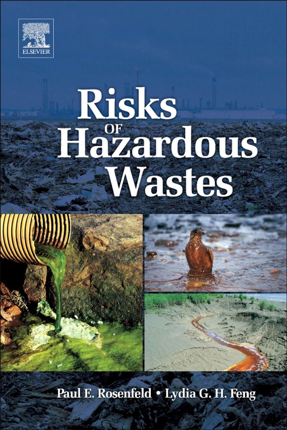 Big bigCover of Risks of Hazardous Wastes