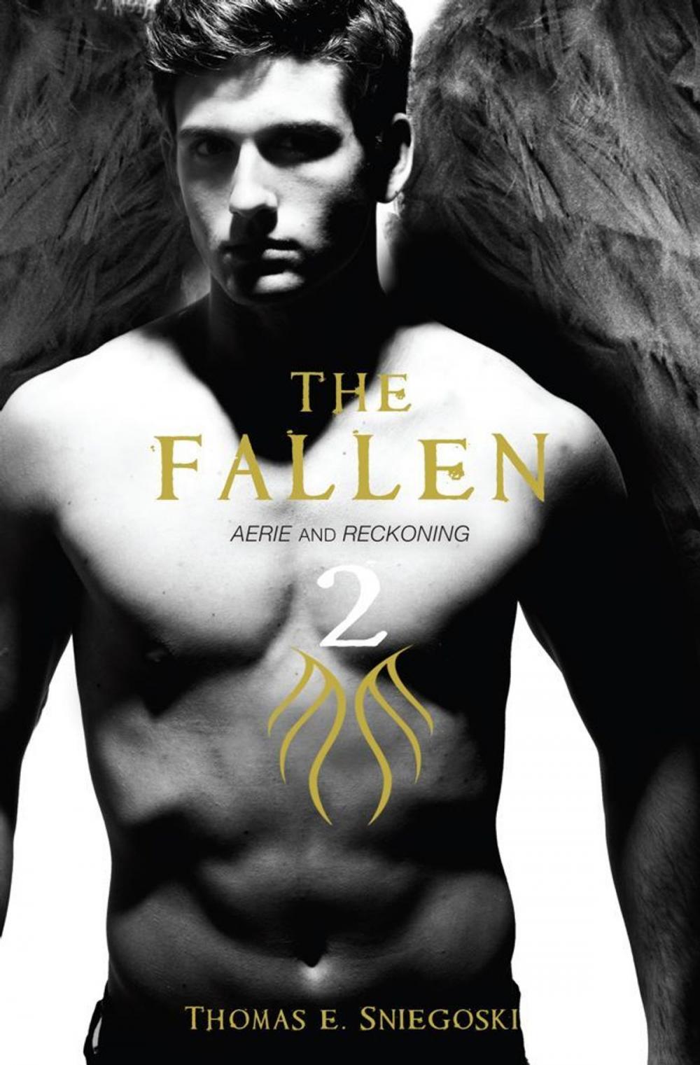 Big bigCover of The Fallen 2