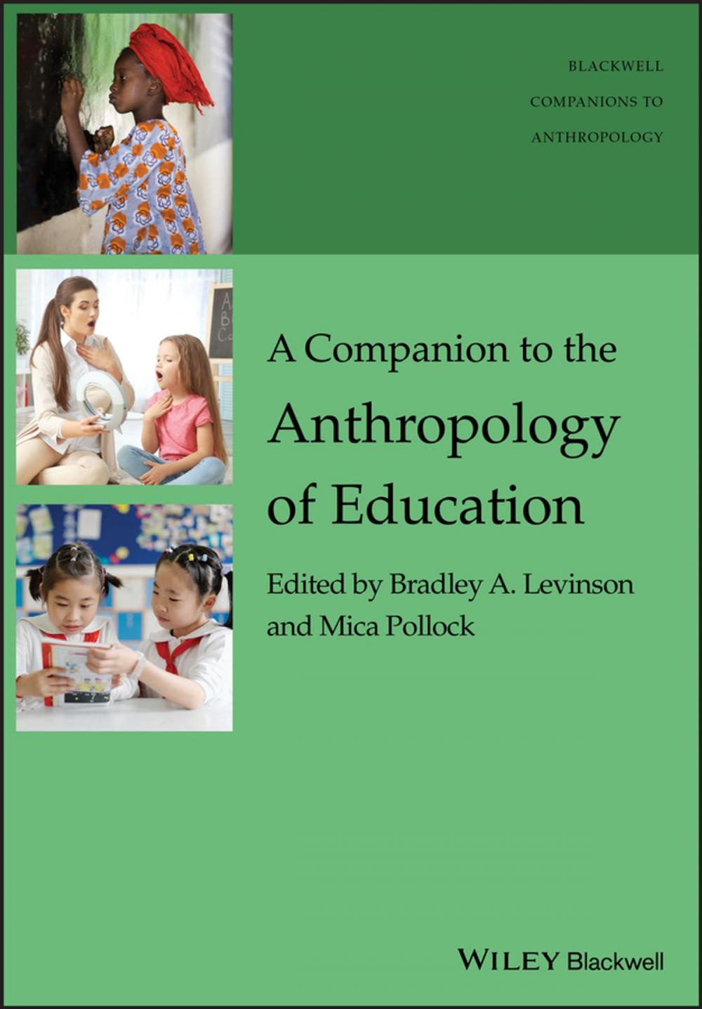 Big bigCover of A Companion to the Anthropology of Education