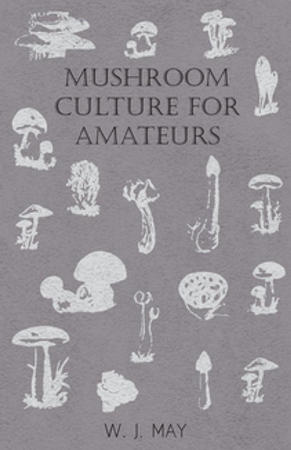 Big bigCover of Mushroom Culture for Amateurs: With Full Descriptions for Successful Growth in Houses, Sheds, Cellars, and Pots, on Shelves, and Out of Doors