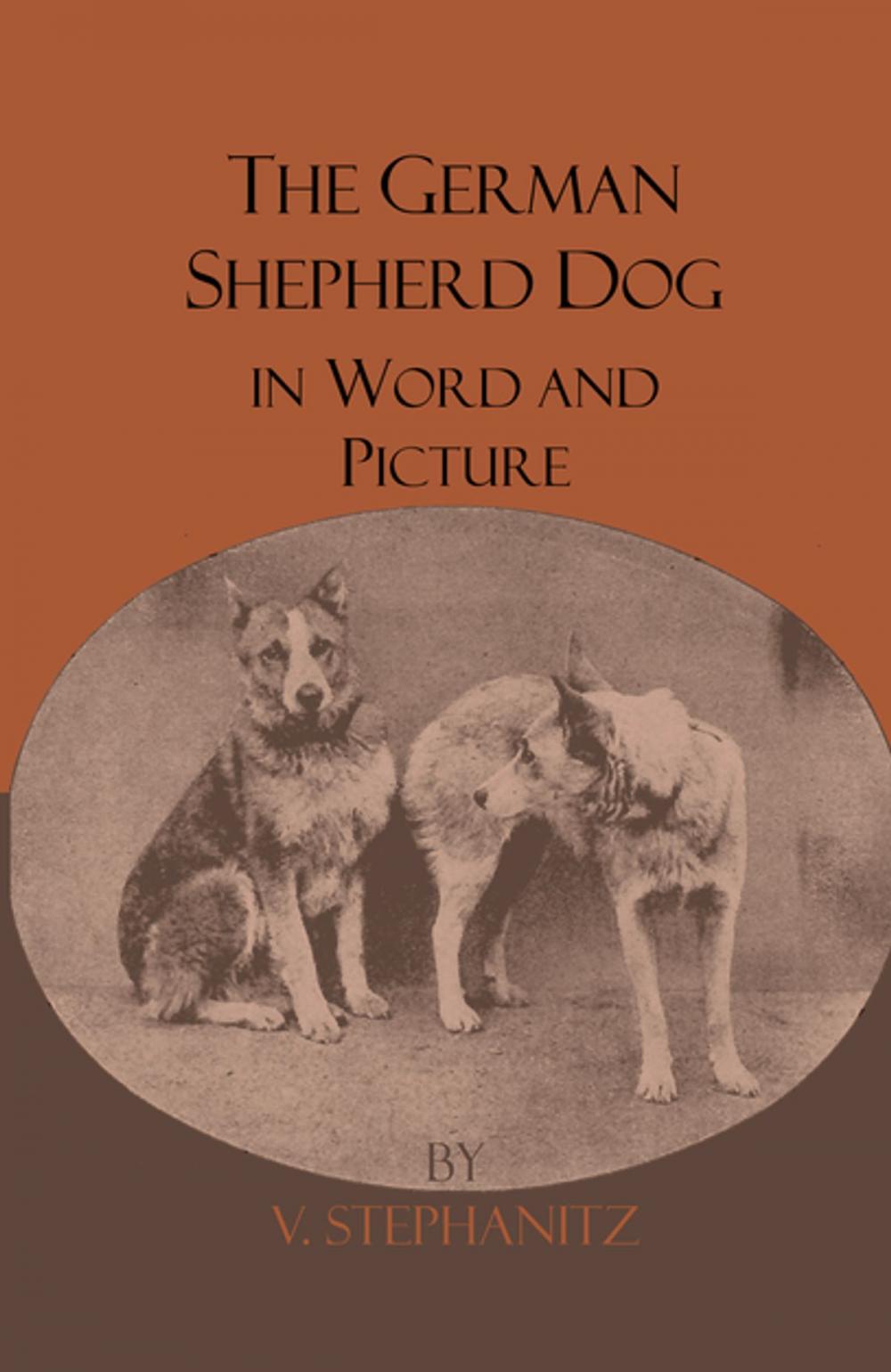 Big bigCover of The German Shepherd Dog In Word And Picture