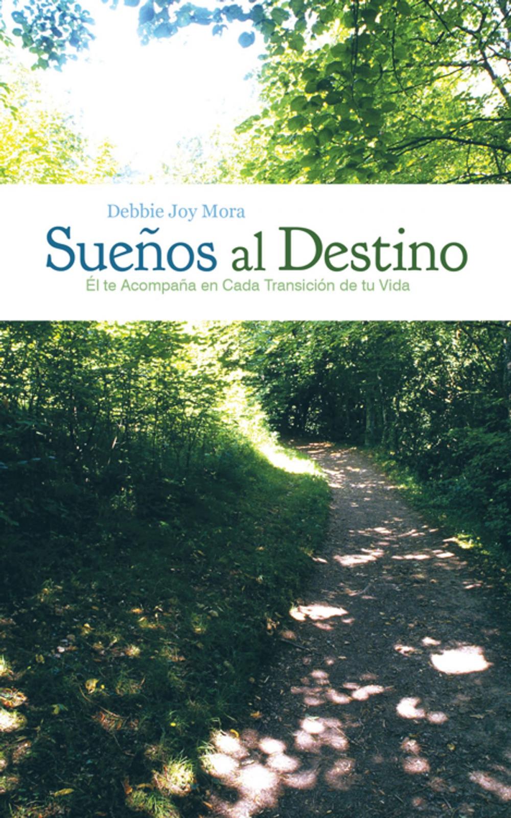 Big bigCover of Sueños Al Destino