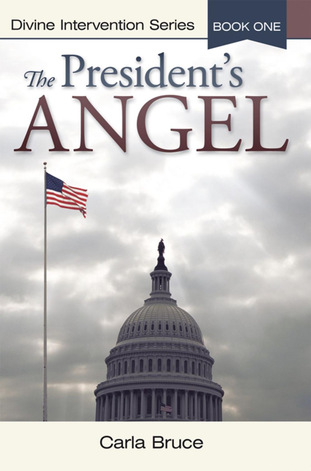 Big bigCover of The President’S Angel