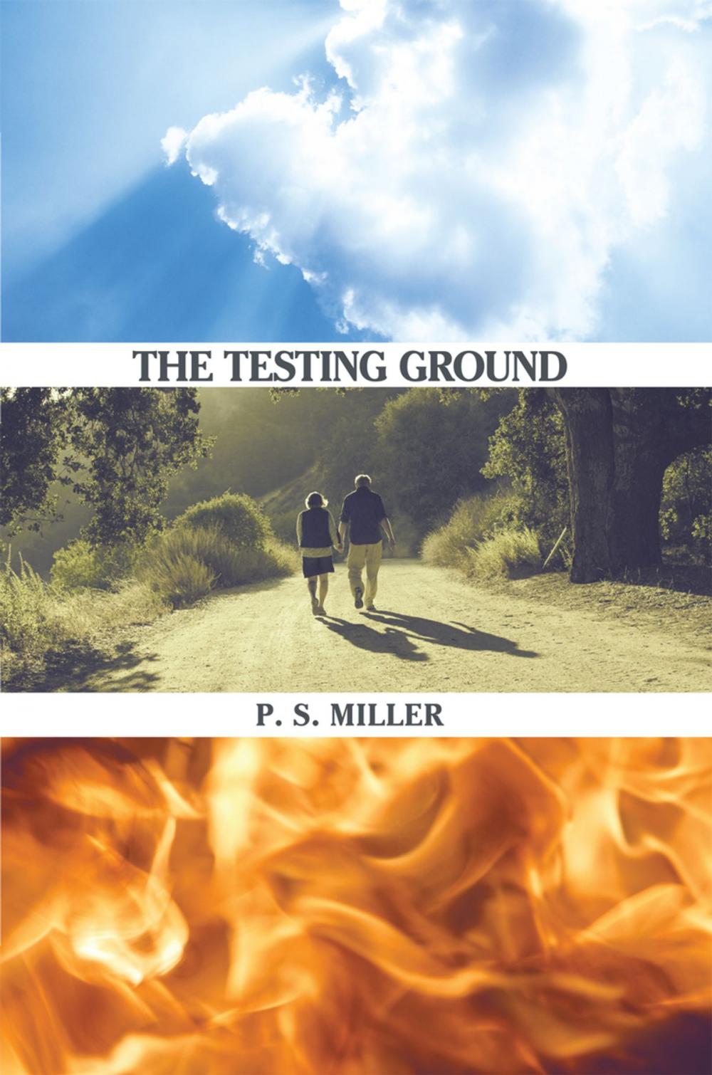 Big bigCover of The Testing Ground