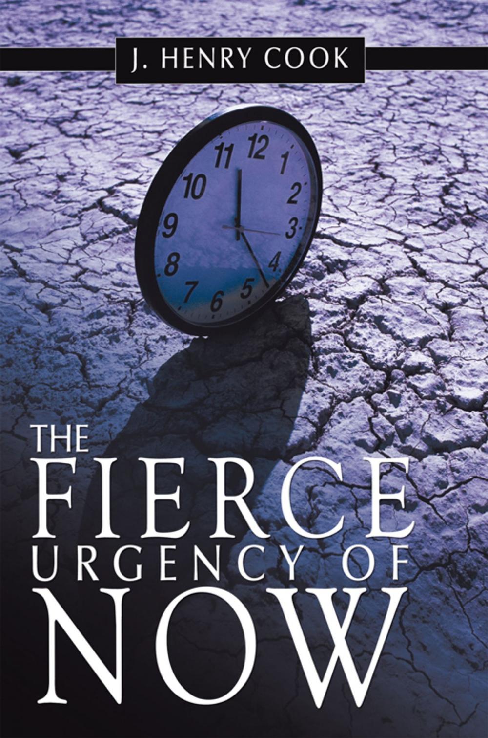 Big bigCover of The Fierce Urgency of Now