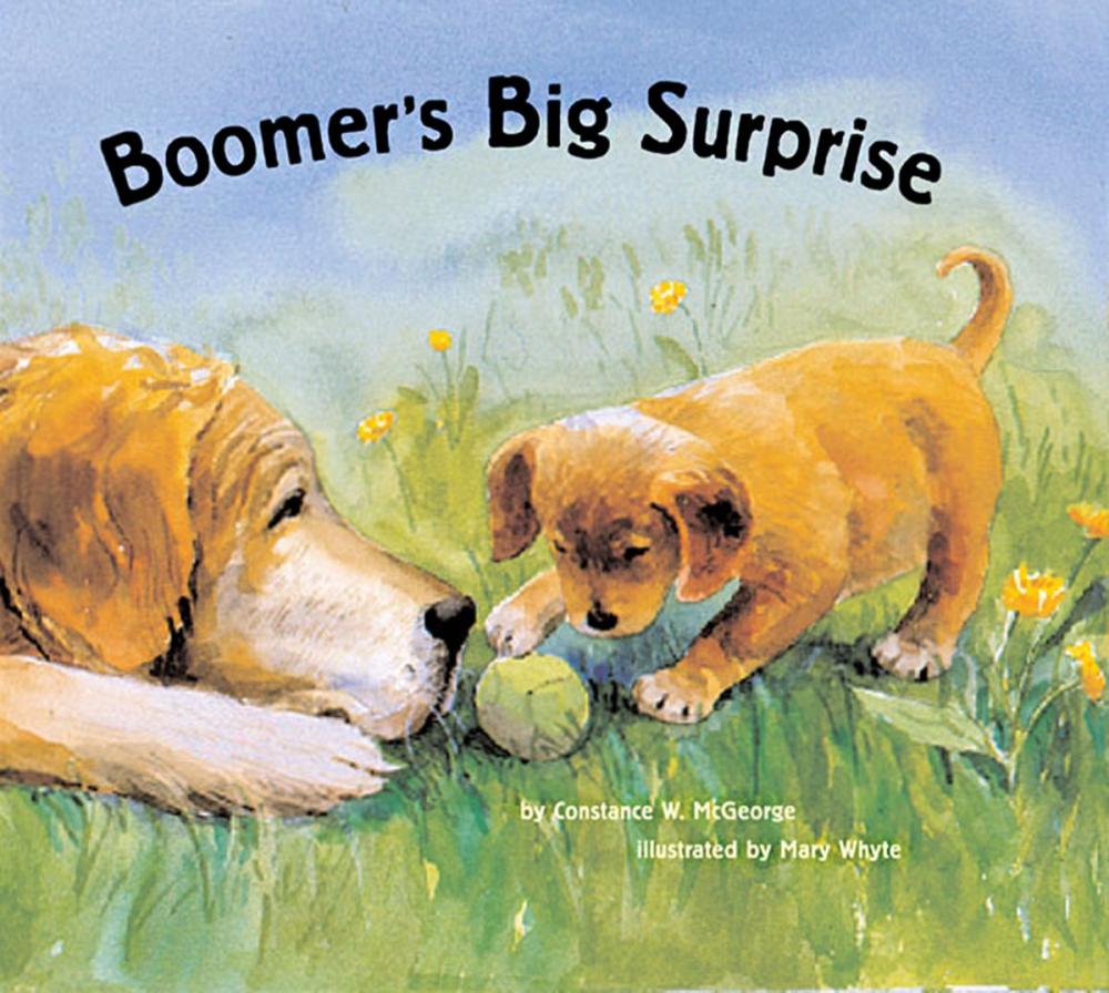 Big bigCover of Boomer's Big Surprise