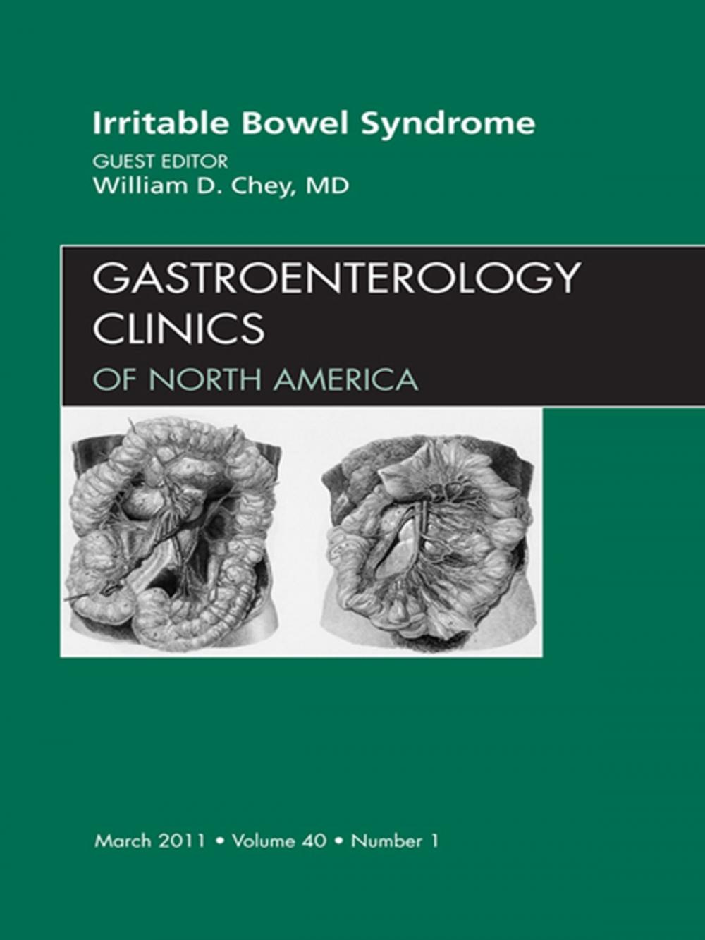 Big bigCover of Irritable Bowel Syndrome, An Issue of Gastroenterology Clinics - E-Book