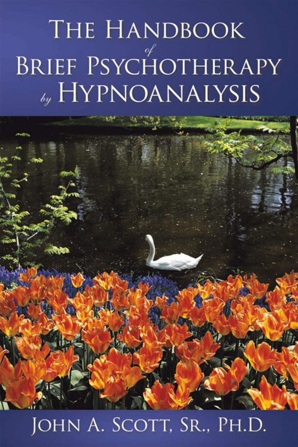 Big bigCover of The Handbook of Brief Psychotherapy by Hypnoanalysis