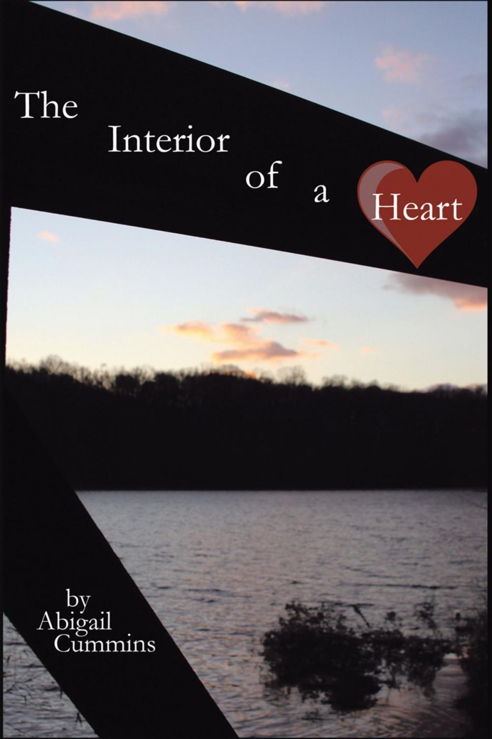 Big bigCover of The Interior of a Heart