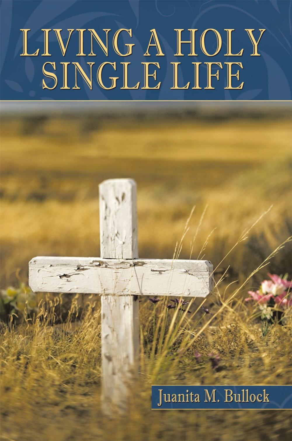 Big bigCover of Living a Holy Single Life