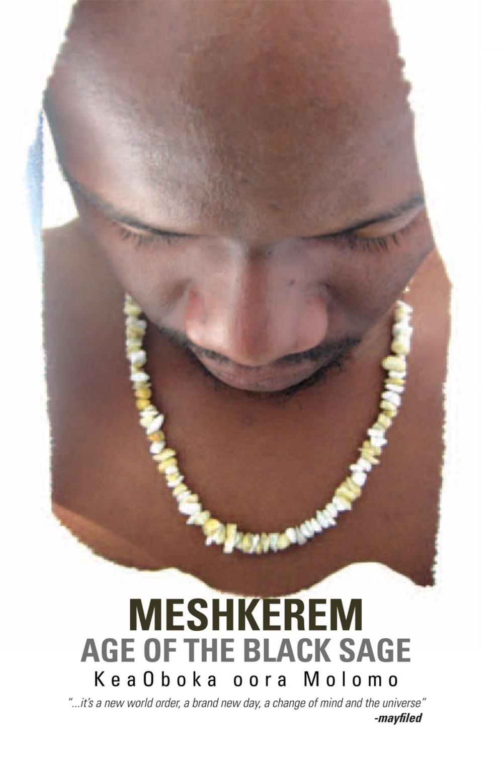 Big bigCover of Meshkerem Age of the Black Sage