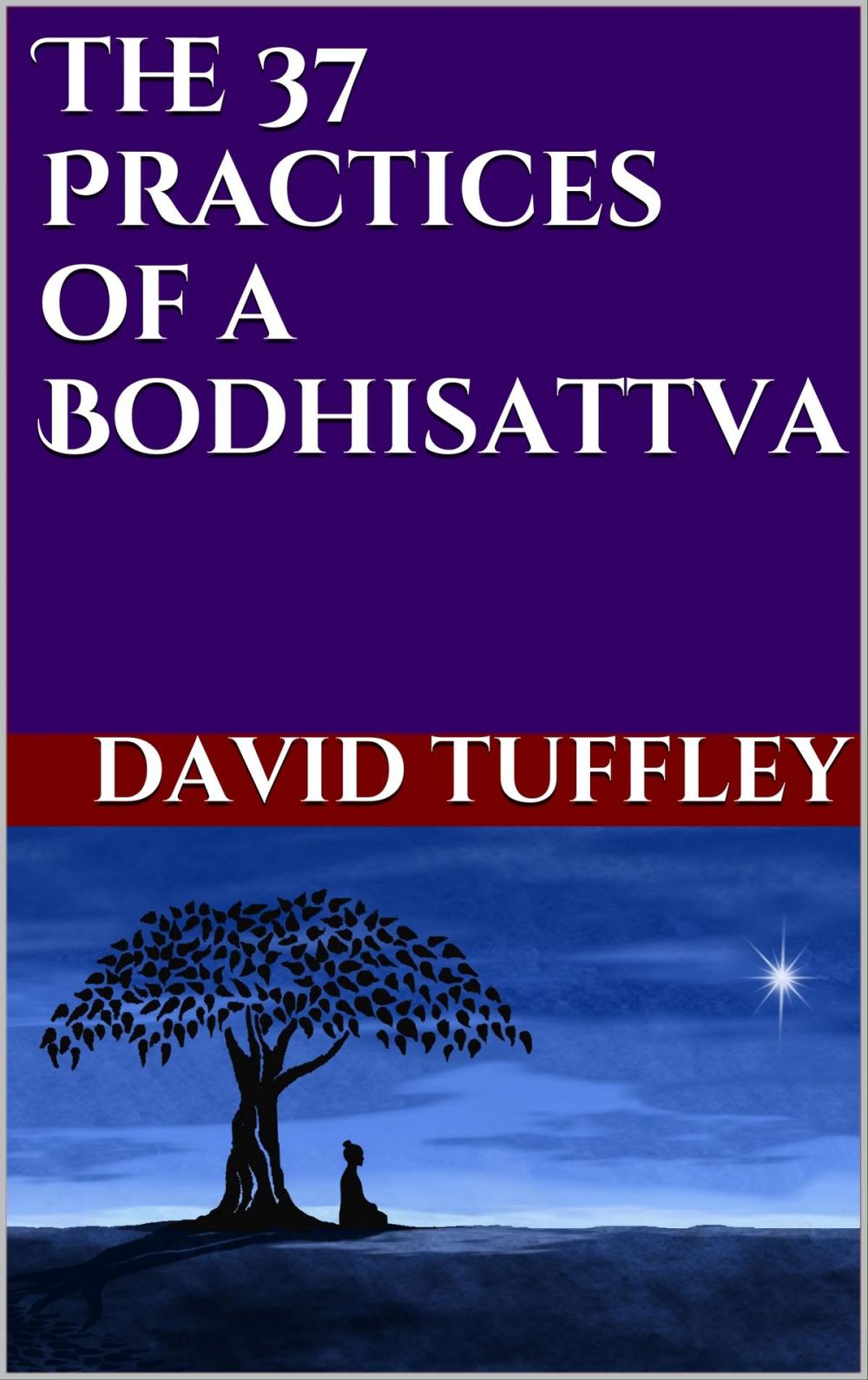 Big bigCover of The 37 Practices of a Bodhisattva