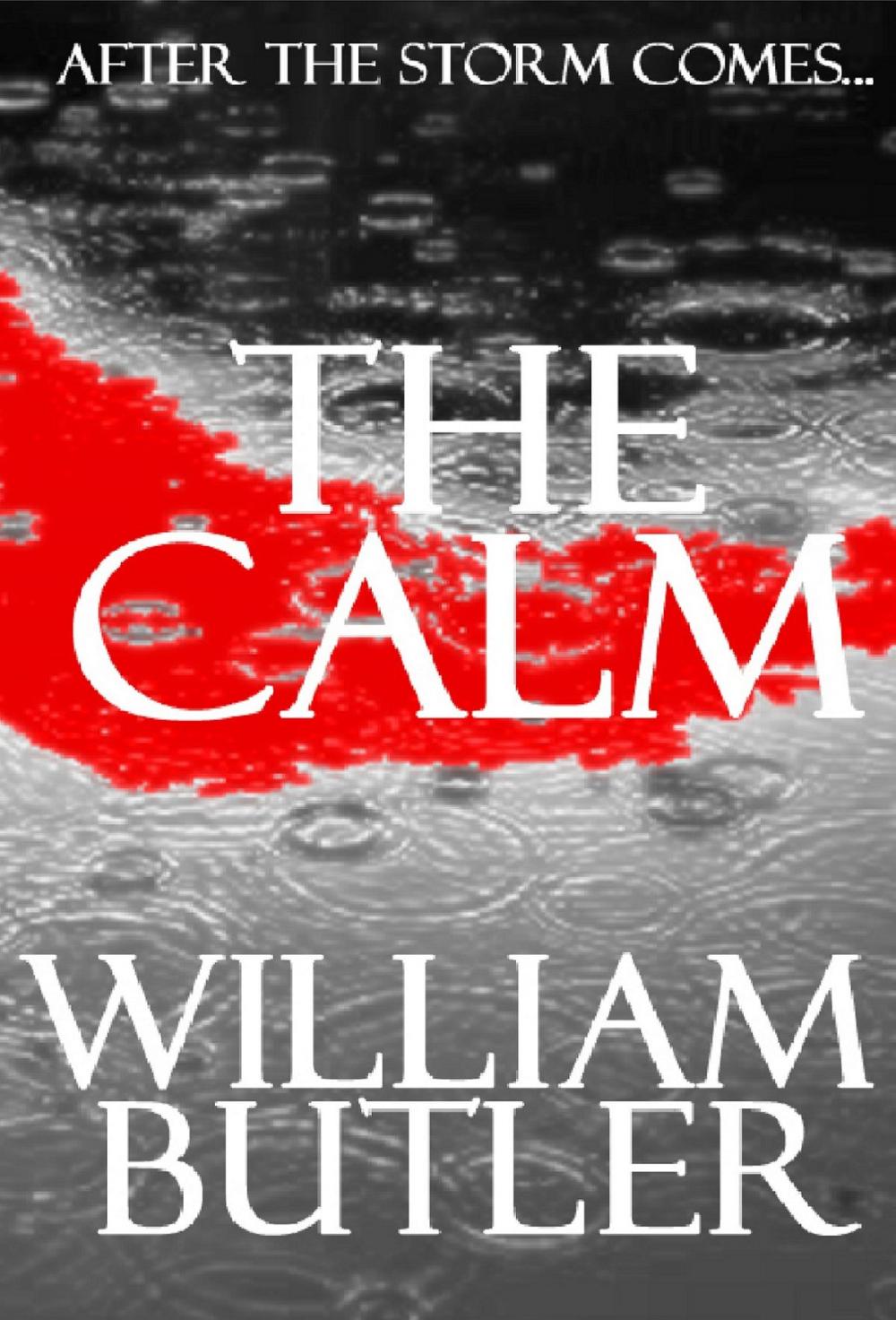 Big bigCover of The Calm