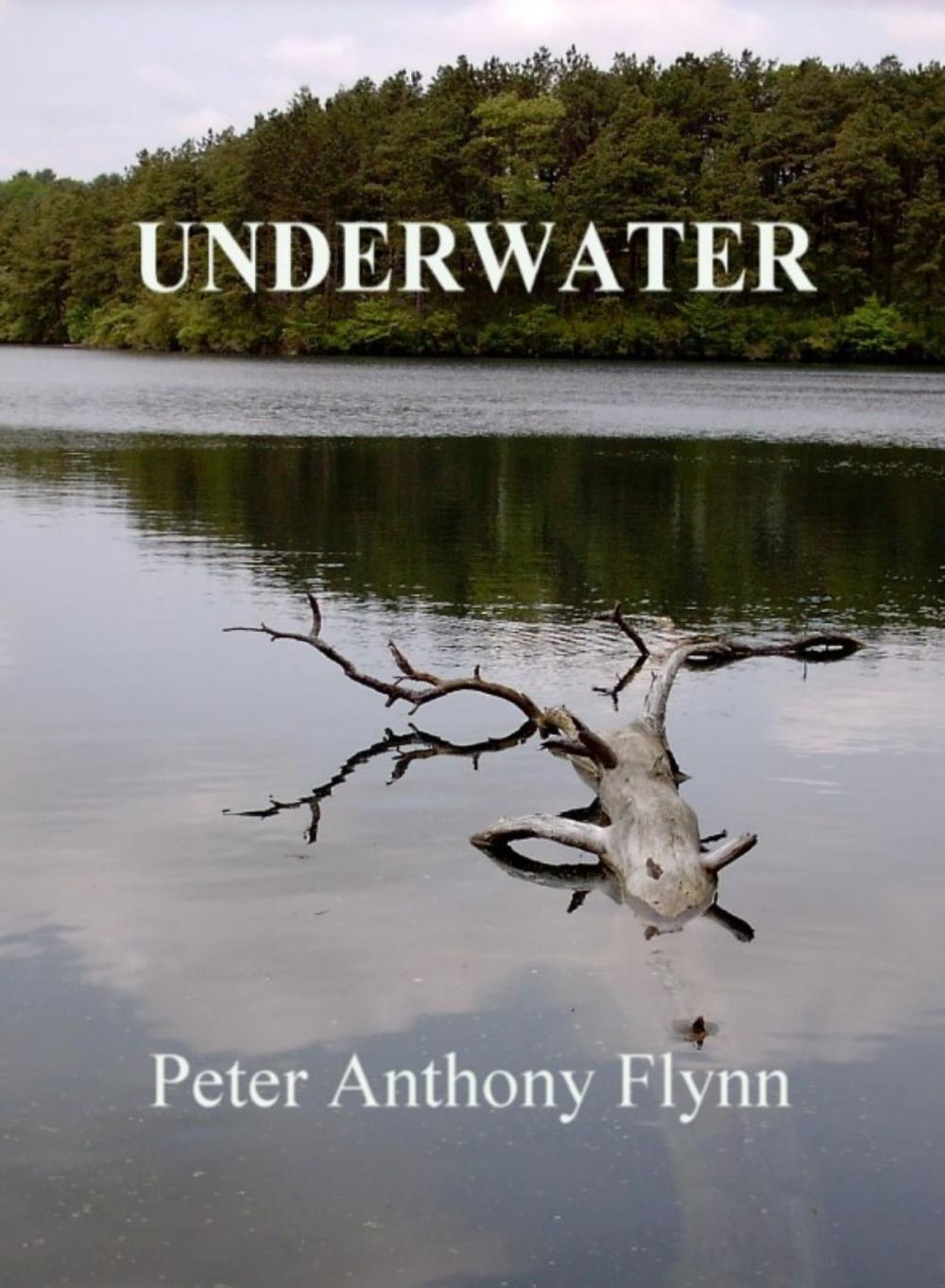 Big bigCover of Underwater