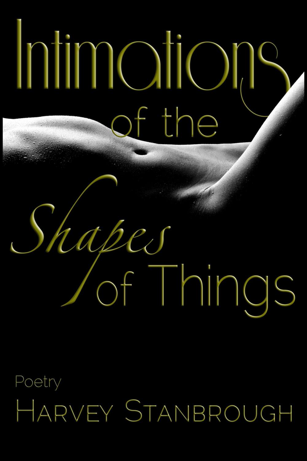 Big bigCover of Intimations of the Shapes of Things