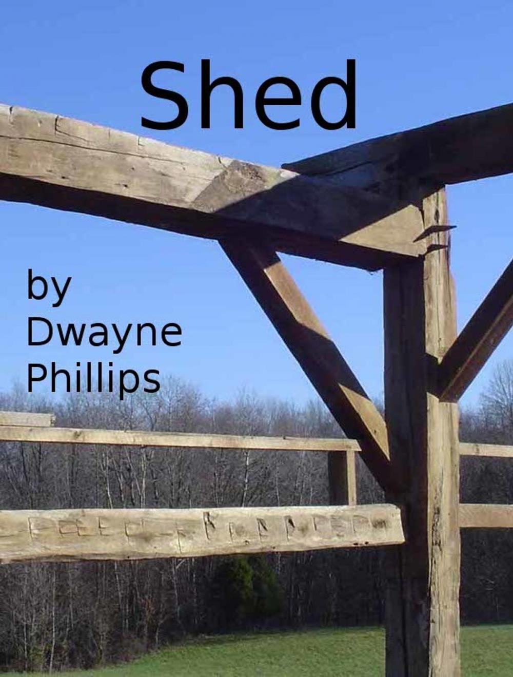 Big bigCover of Shed