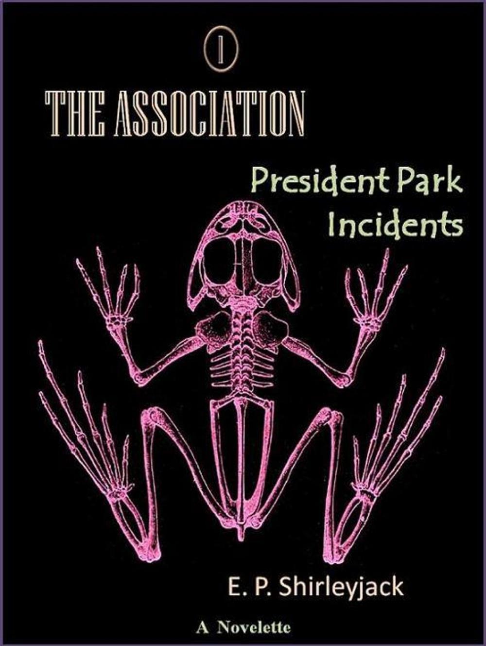 Big bigCover of The Association 1: President Park Incidents