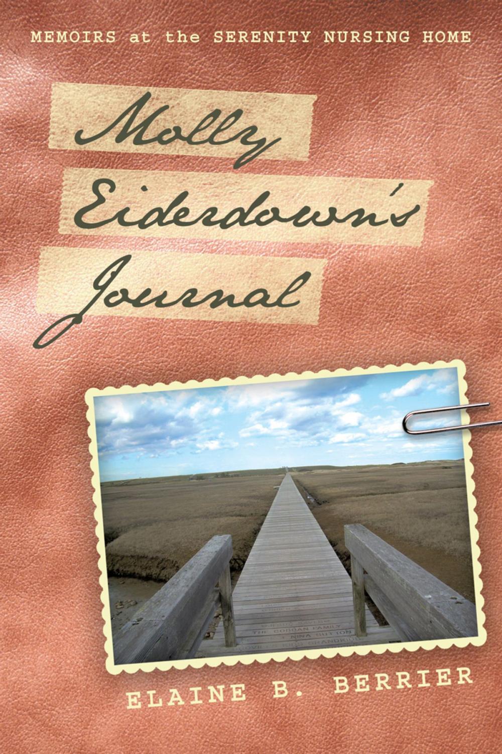 Big bigCover of Molly Eiderdown’S Journal