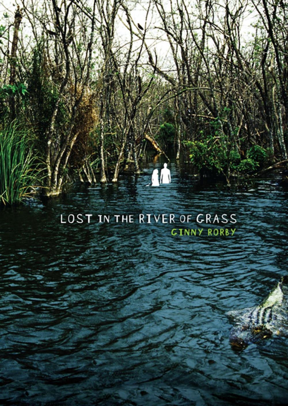 Big bigCover of Lost in the River of Grass