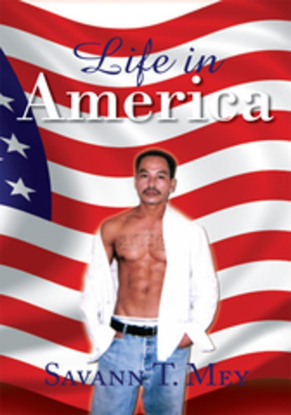 Big bigCover of Life in America