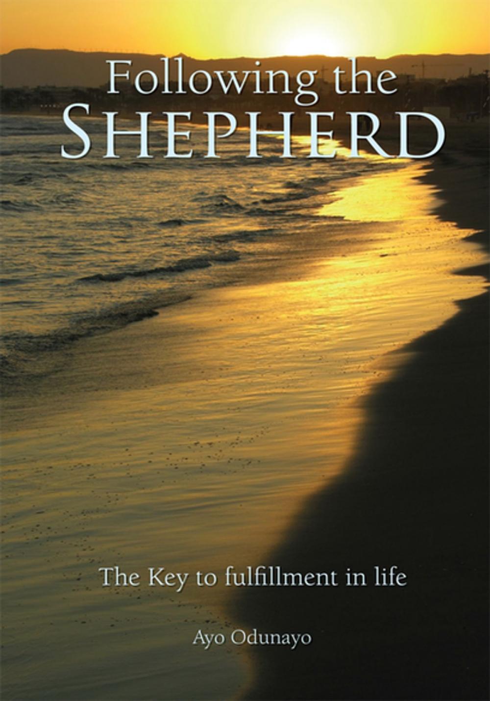 Big bigCover of Following the Shepherd