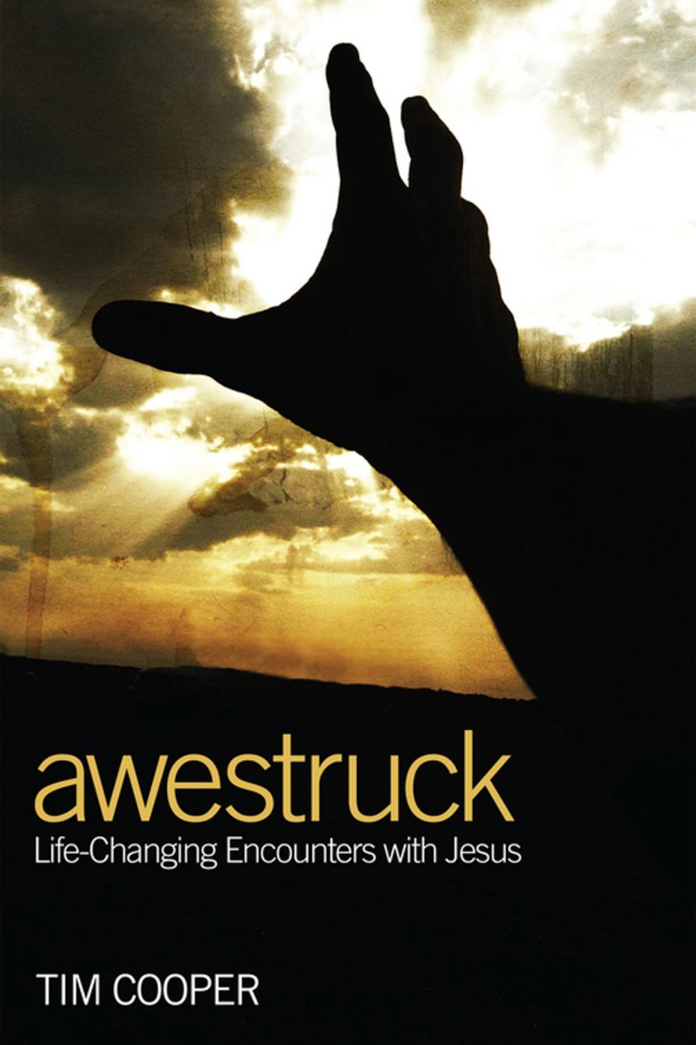 Big bigCover of Awestruck