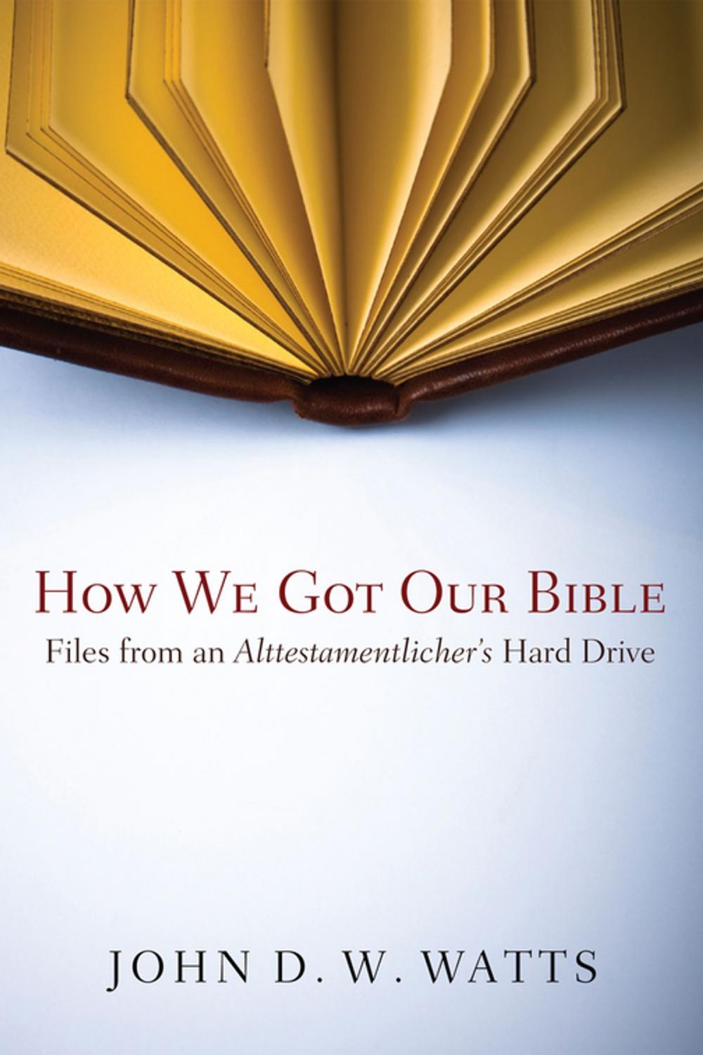 Big bigCover of How We Got Our Bible