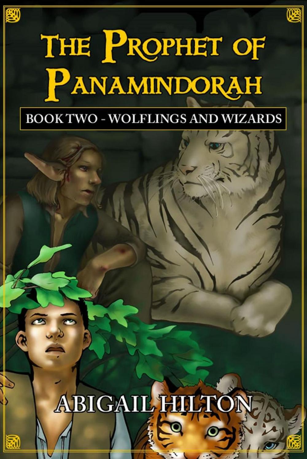 Big bigCover of The Prophet of Panamindorah, Book 2 Wolflings and Wizards