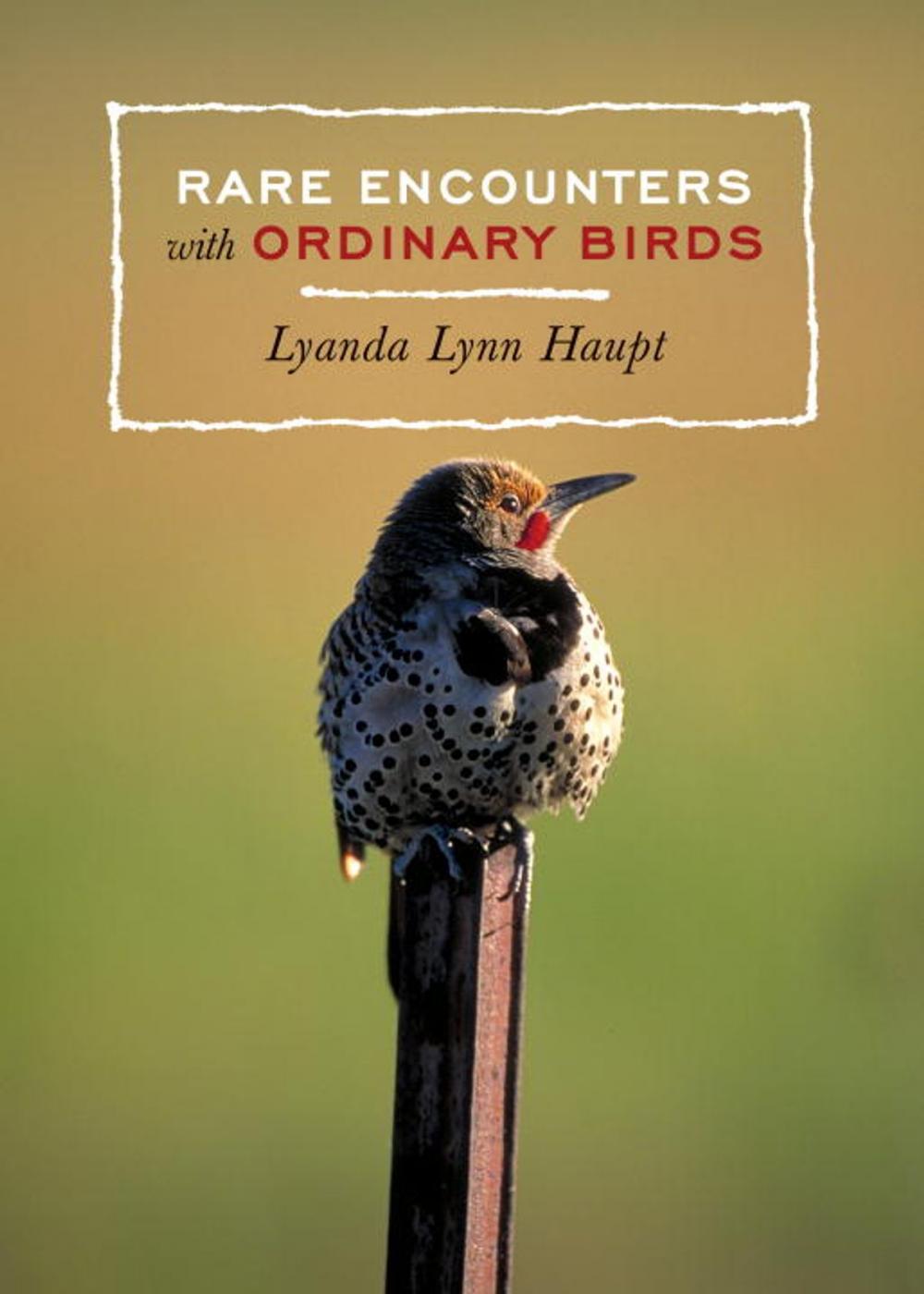 Big bigCover of Rare Encounters with Ordinary Birds