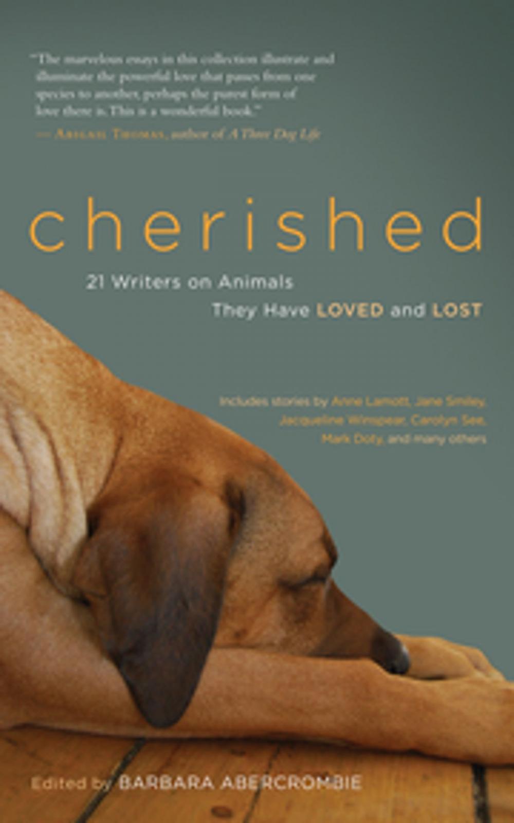 Big bigCover of Cherished